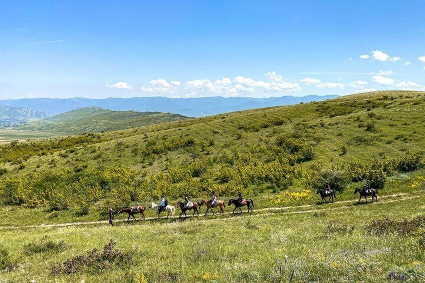1 Day Horse Riding Tour at Palomino Ranch
