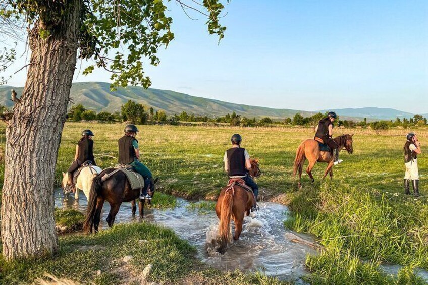 1 Day Horse Riding Tour at Palomino Ranch