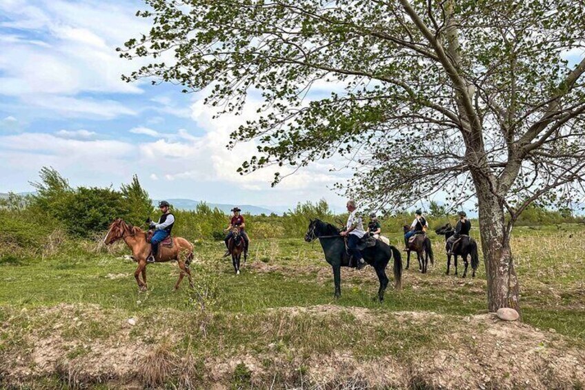 1 Day Horse Riding Tour at Palomino Ranch
