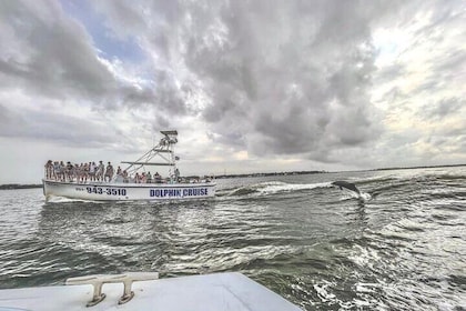 Dolphin Watching aboard the Cold Mil Fleet