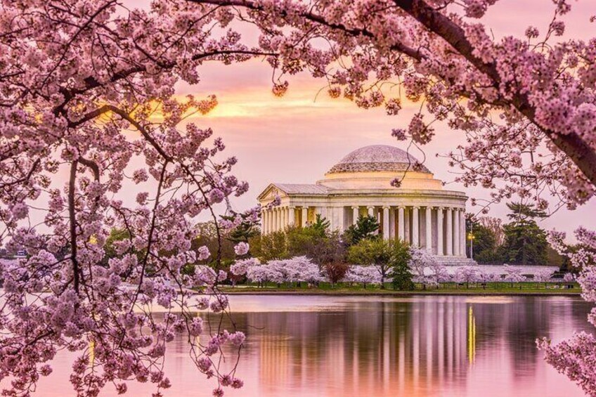 Historic Monuments and National Mall Bike Tour in Washington DC
