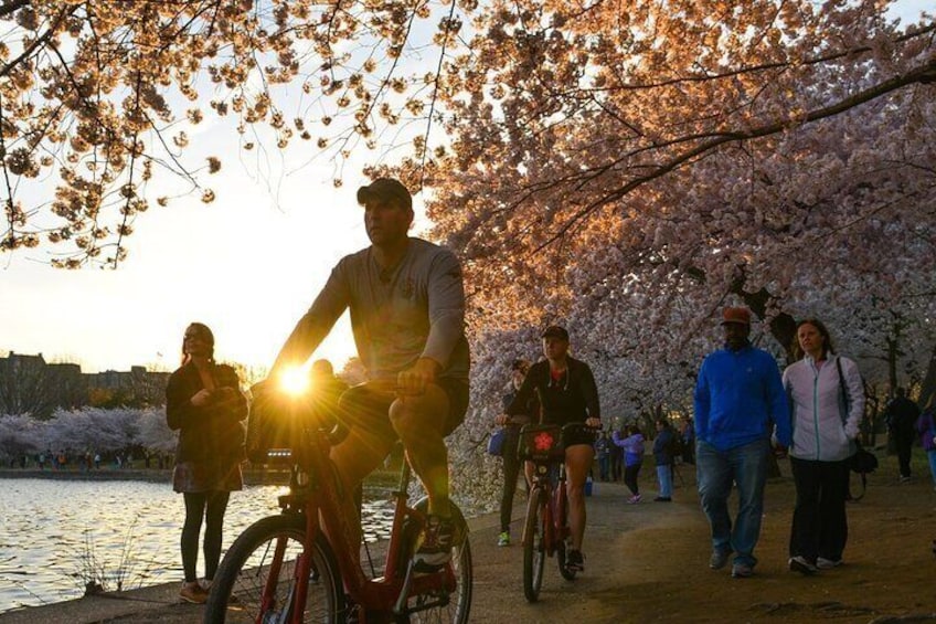 Historic Monuments and National Mall Bike Tour in Washington DC