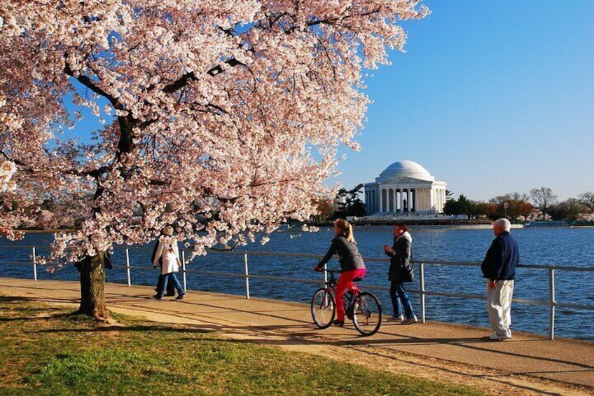 Historic Monuments and National Mall Bike Tour in Washington DC