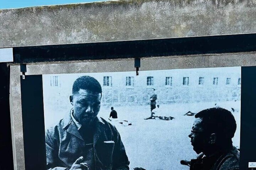Robben Island Adventure Full Tour