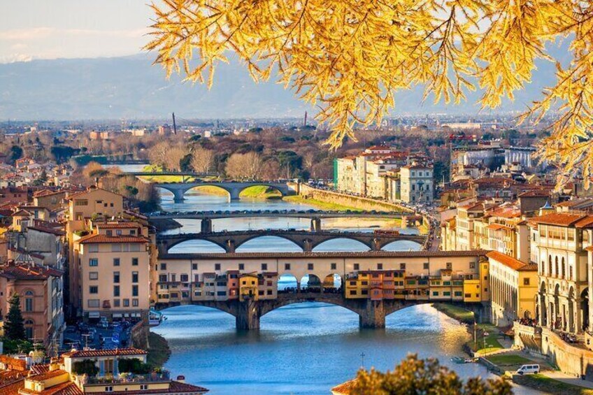 Full Day Sightseeing Bus Tour from Milan to Venice
