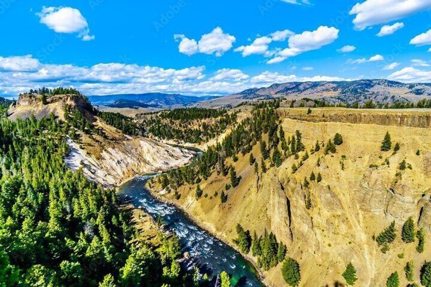 Sheepeater Cliffs