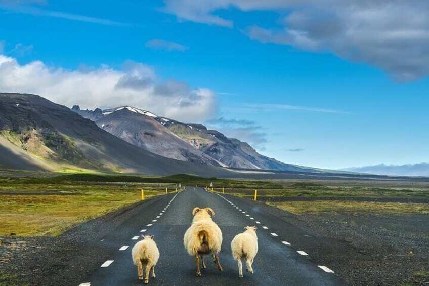5 Days Small Group Journey Around Iceland