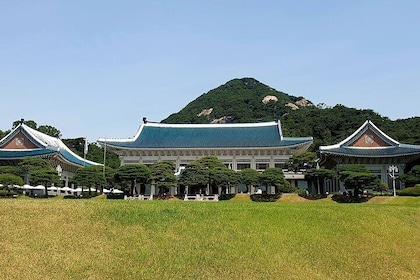 Blue House and National Assembly Private Walking Tour in Seoul