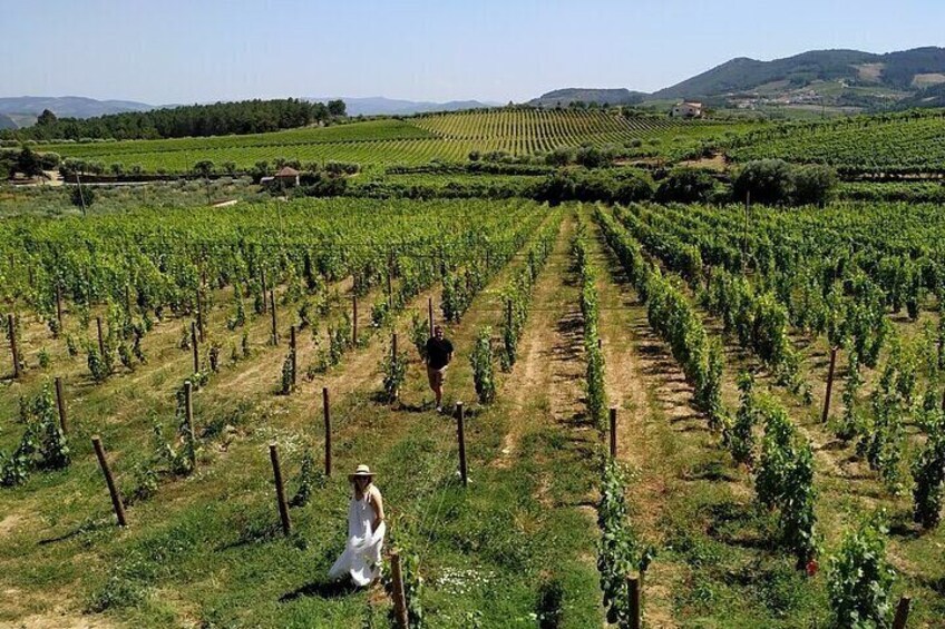 Private Douro Valley Tour Taylor Made