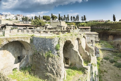 Half-Day Tour of Herculaneum from Naples