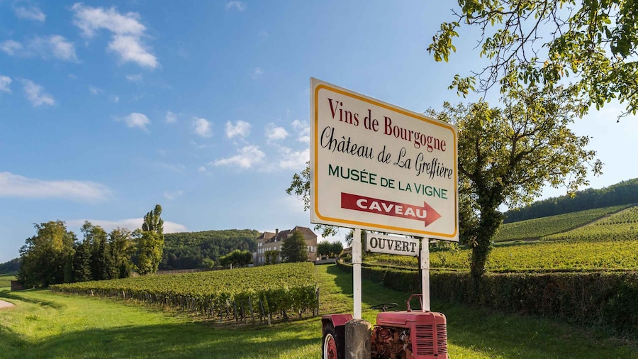 La Roche Vineuse: Visit to the Vine and Wine Museum