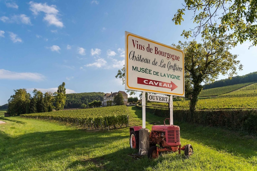La Roche Vineuse: Visit to the Vine and Wine Museum