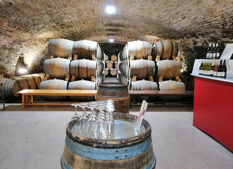 Picture 6 for Activity La Roche Vineuse: Visit to the Vine and Wine Museum