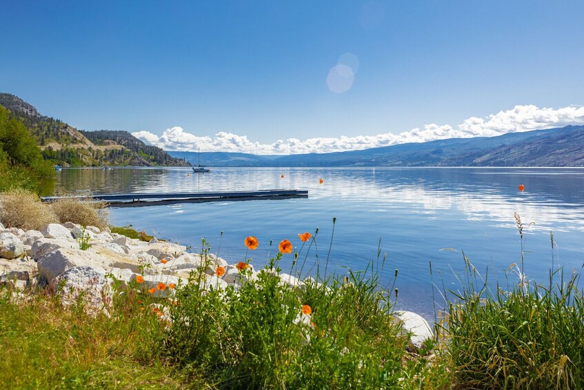 Self-Guided Audio Tour: Kamloops to Lake Louise Scenic Drive