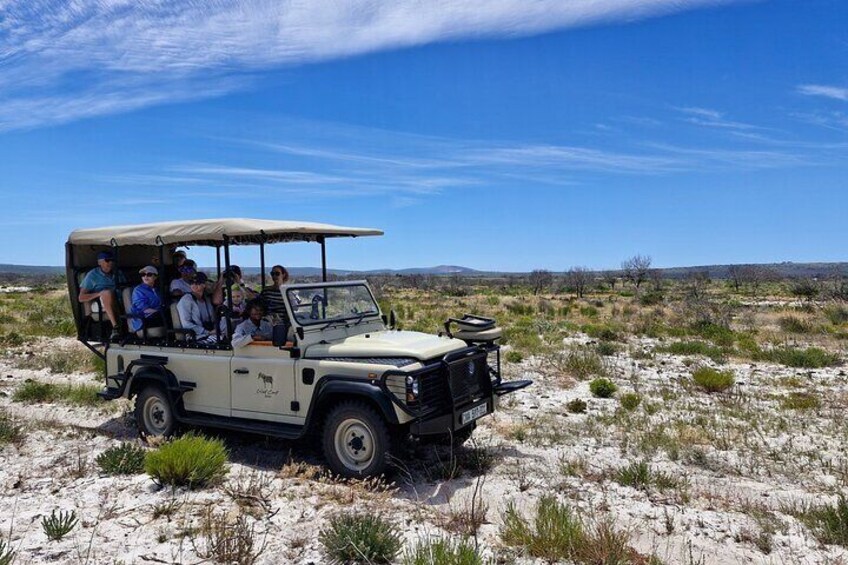 Our Safaris are operated in a 9 seater land cruiser with qualified guides