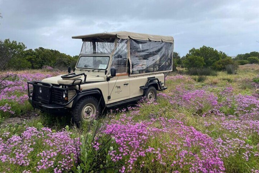 Our vehicle can be closed off for rainy days