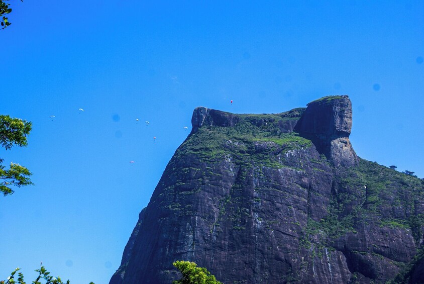 Explore Rio de Janeiro: Tijuca Rainforest and Rocinha Favela