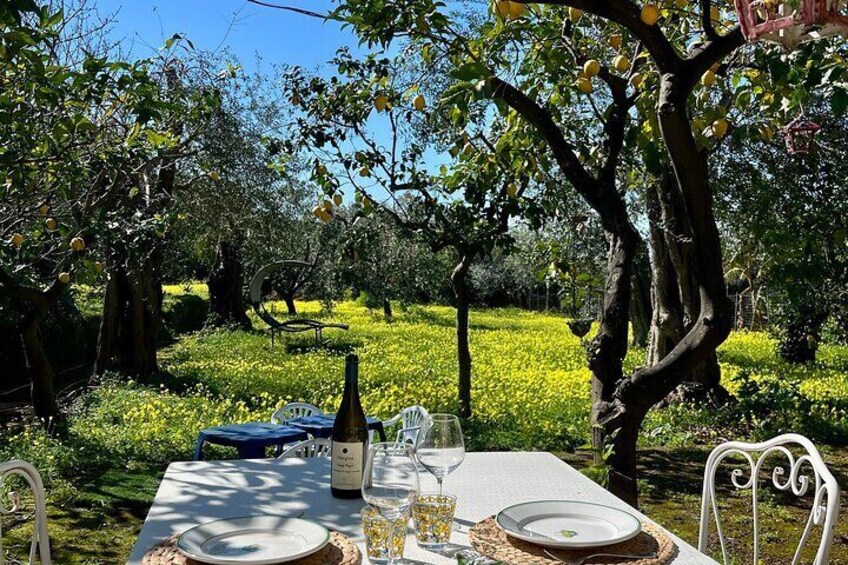 Lunch under lemons 