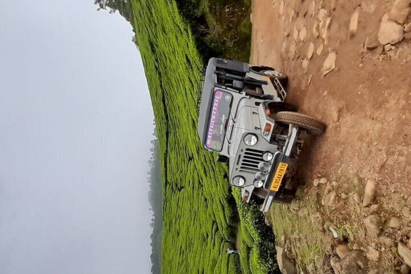 Kolukkumalai Sun Rise Trekking and Jeep Safari