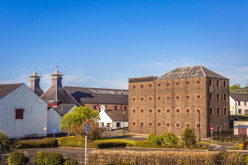 Belfast City Highlights & Giant’s Causeway Day Tour from Dublin