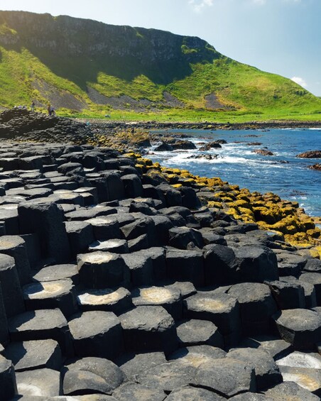 Belfast City Highlights & Giant’s Causeway Day Tour from Dublin