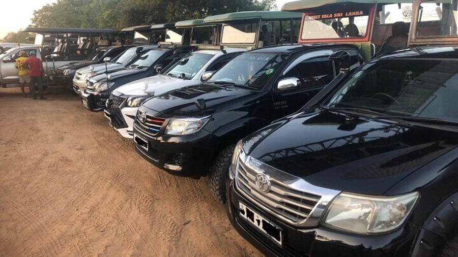 Yala and Udawalawa National Park Safari Tour From Hambantota port