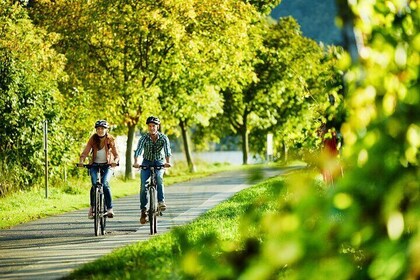 Bicycle Picnic Boat Tour from to Cochem Private Tour