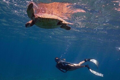 Private Luxury Oahu Boat Tours