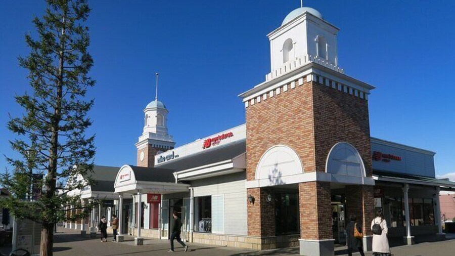 Private Shopping Tour from Tokyo Hotels to Sano Premium Outlets