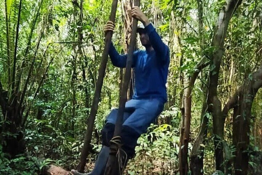 Pacaya Samiria Mystical 3 Days
