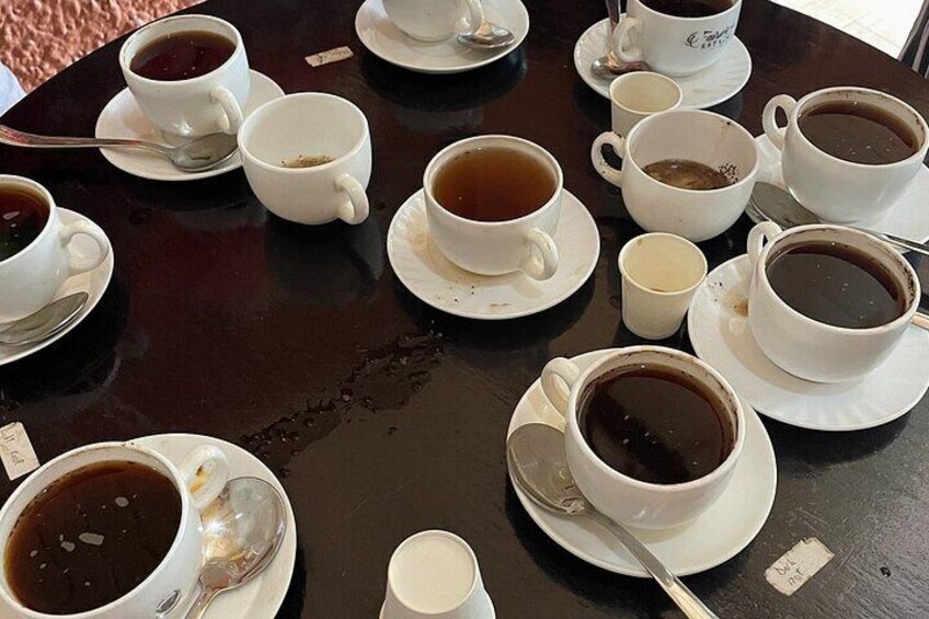Fairview Coffee Farm Day Tour
