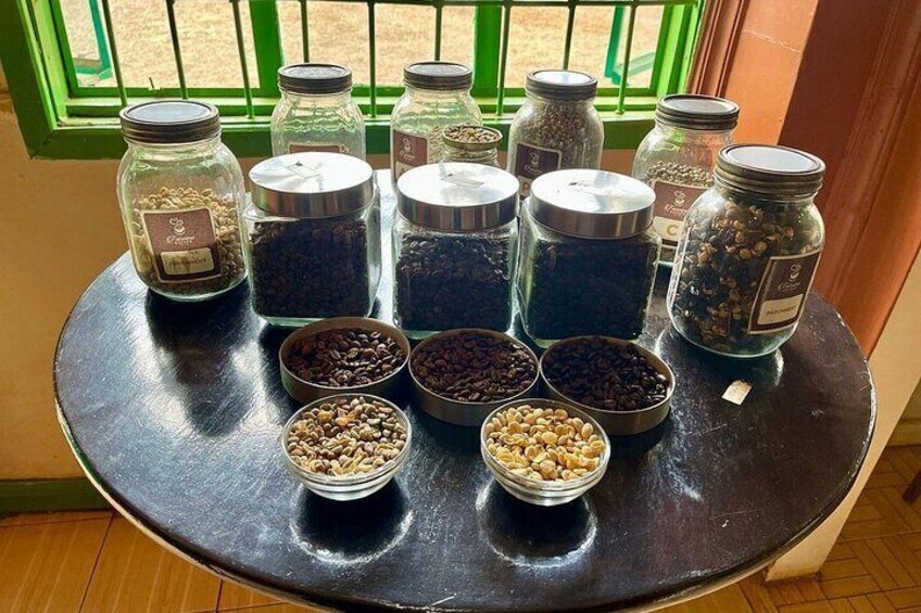 Fairview Coffee Farm Day Tour