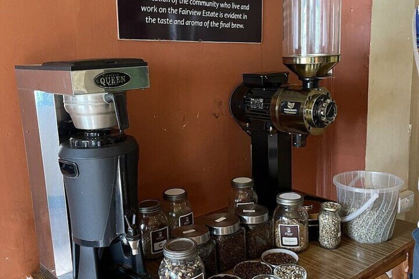 Fairview Coffee Farm Day Tour
