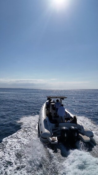 Picture 4 for Activity Trebeurden : Tour en bateau dans la baie de Lannion