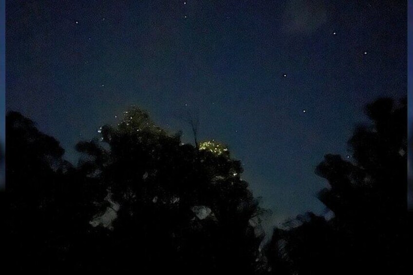 Shared Bohol Loboc River Firefly Watching Tour