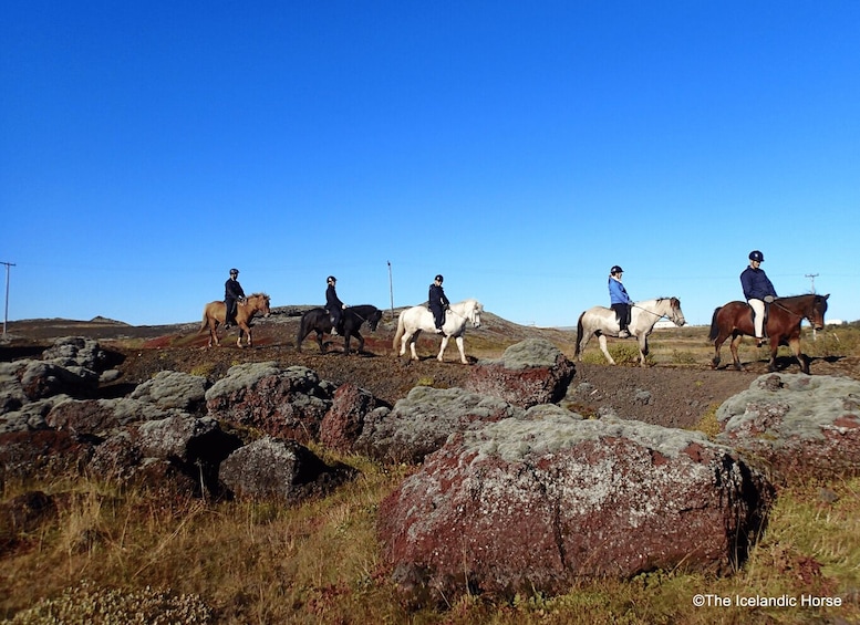Picture 1 for Activity Volcanic Landscape Iceland Horse Riding Tours