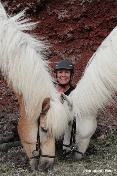 Picture 10 for Activity Volcanic Landscape Iceland Horse Riding Tours