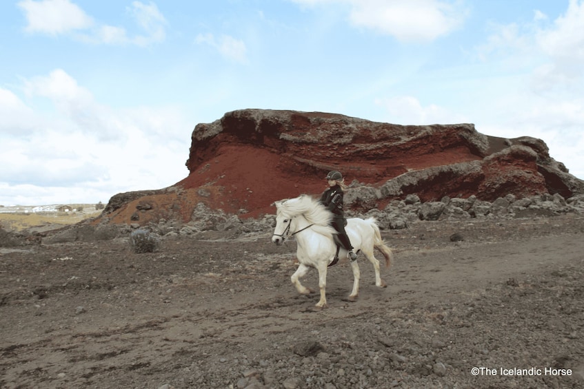 Picture 4 for Activity Volcanic Landscape Iceland Horse Riding Tours