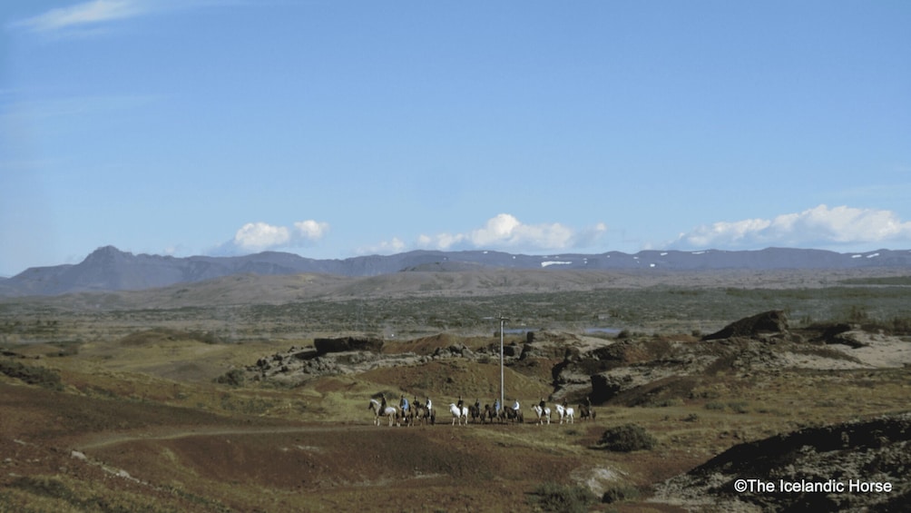 Picture 6 for Activity Volcanic Landscape Iceland Horse Riding Tours