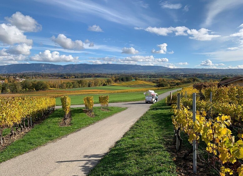 Picture 5 for Activity Geneva: Vineyard Tour & Wine Tasting by TukTuk