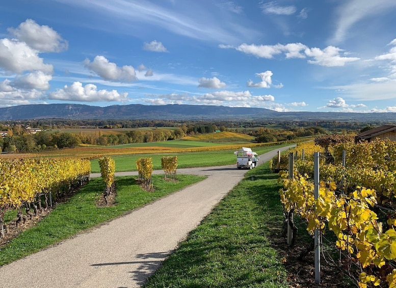 Picture 5 for Activity Geneva: Vineyard Tour & Wine Tasting by TukTuk