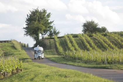 Geneva: Vineyard Tour & Wine Tasting by TukTuk