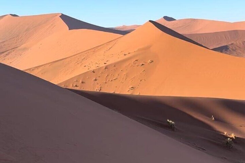 Dune 45