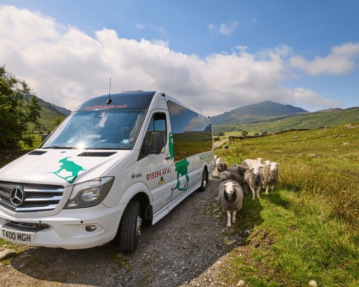 Picture 8 for Activity From York: The Lake District Tour