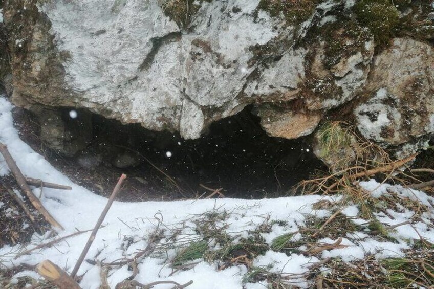 Hiking Bear Watching Tour in High Tatras from Podbanske Slovakia