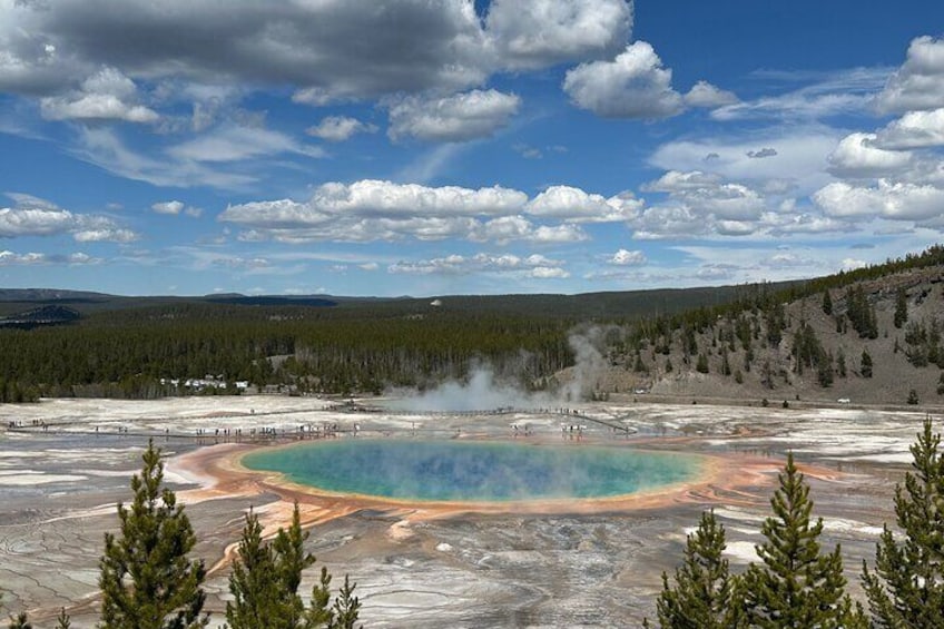 From Bozeman Yellowstone Full Day Tour Lower Loop