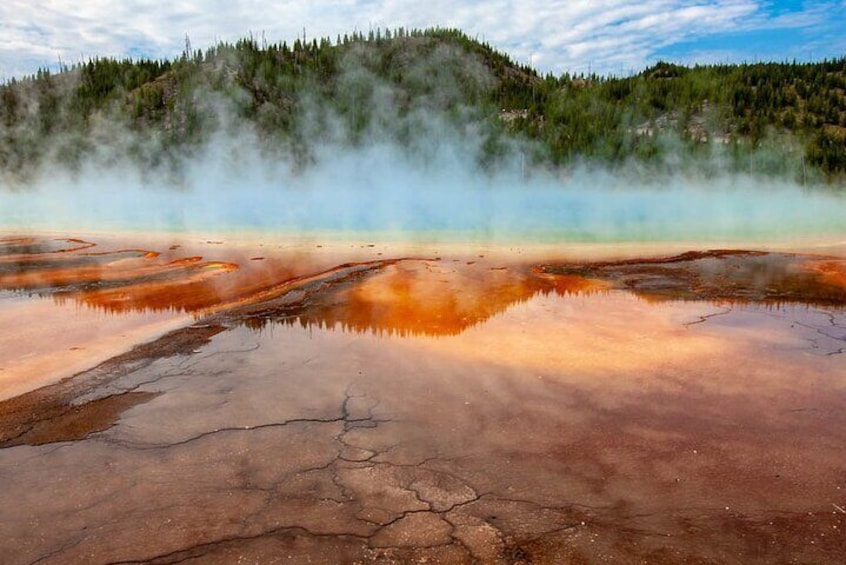 From Bozeman Yellowstone Full Day Tour Lower Loop