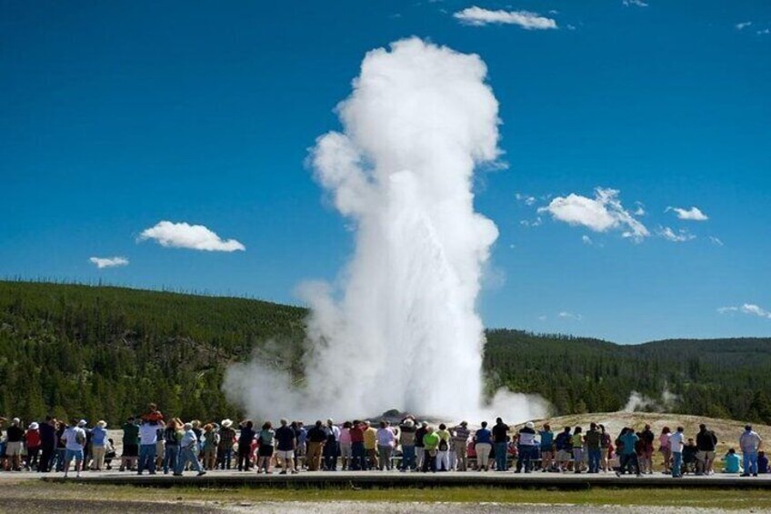 From Bozeman Yellowstone Full Day Tour Lower Loop