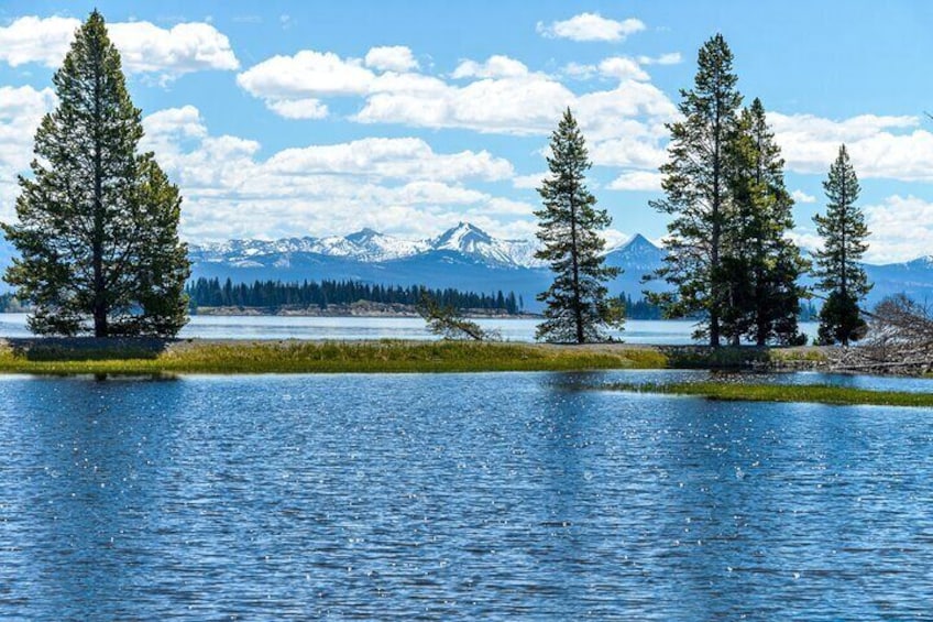 From Bozeman Yellowstone Full Day Tour Lower Loop