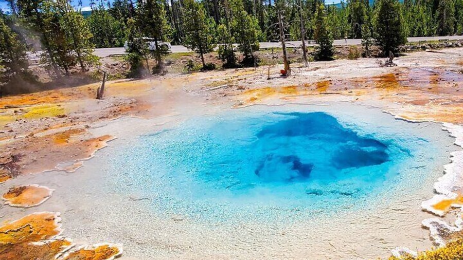 From Bozeman Yellowstone Full Day Tour Lower Loop